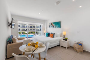 Studio Overview - Studio Apartment 316S